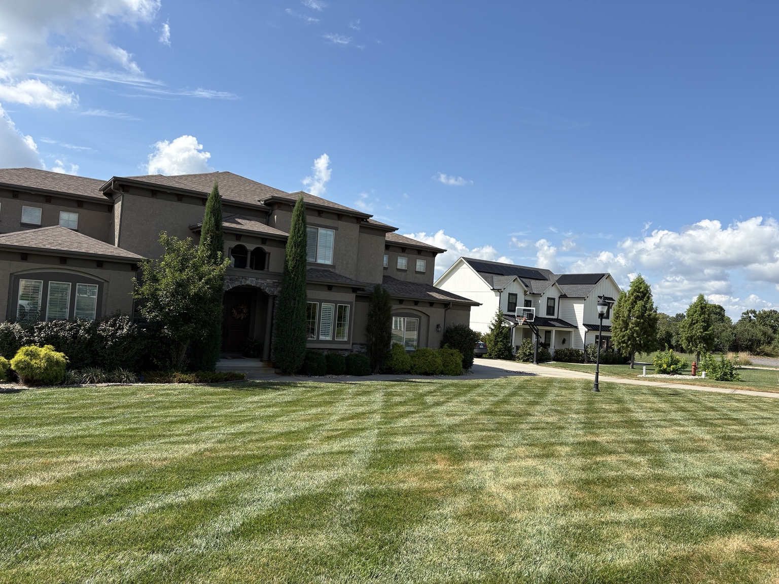 Freshly mowed lawn with stripes