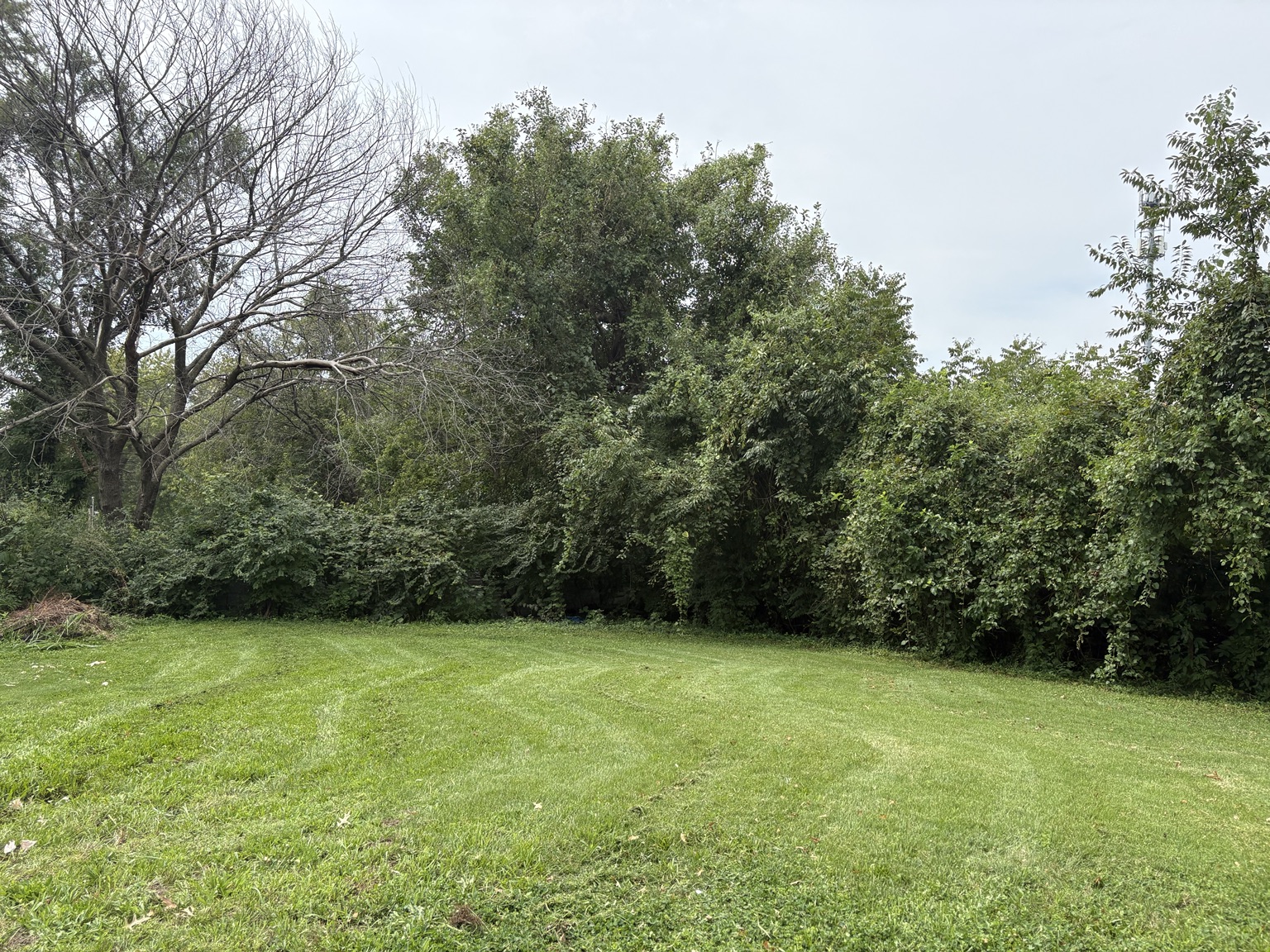 Wide lawn with mowing stripes